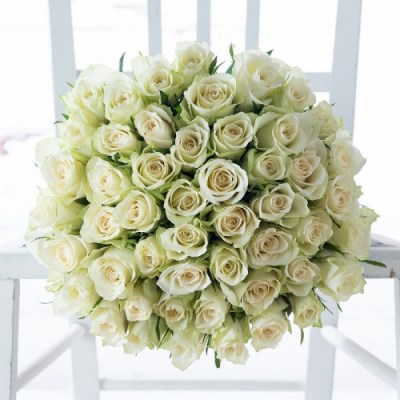 50_white_roses